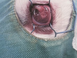 IMG_54664