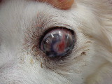 SONY DSC-W830 -2592x1944-1301440-T1