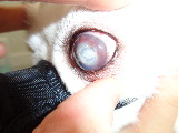 SONY DSC-W830 -2592x1944-1921152-T1