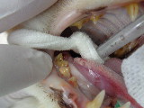 SONY DSC-W830 -2592x1944-2299136-T1