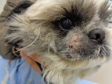 SONY DSC-W830 -2592x1944-2680640-T1