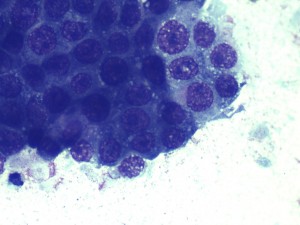 s1