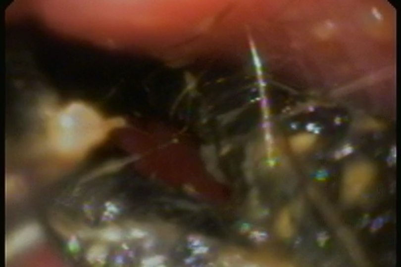 スクリーンショット (6)